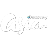 Discovery Asia